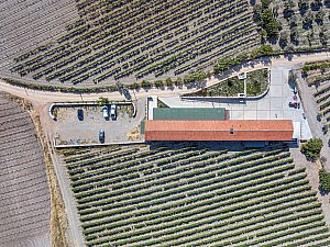 DJI_0079-1.jpg