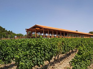 ZMY_1762-1.JPG