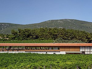 ZMY_1766-1.jpg