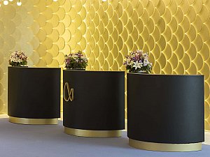 aesthetic-international6.jpg