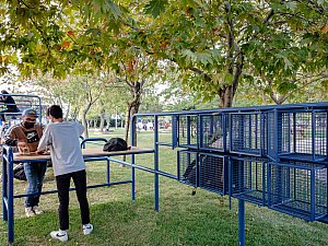 kalamis (11).jpg