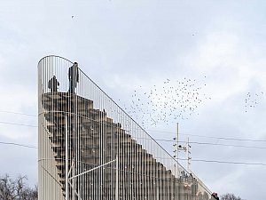 kavusma_ind (14).jpg