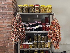 IMG_2071.JPG