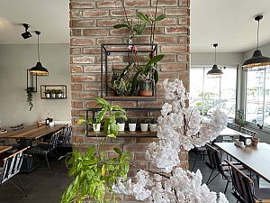 IMG_2102.JPG