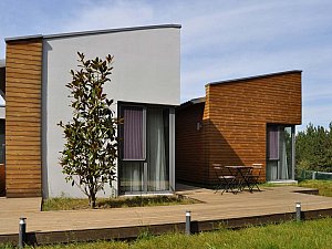 05.jpg