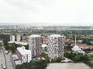 09.jpg