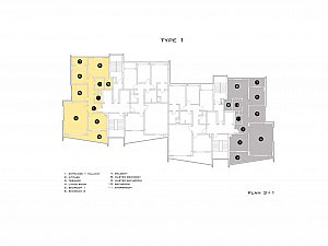 z (3).jpg