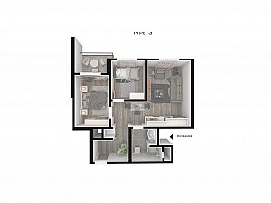 z (8).jpg