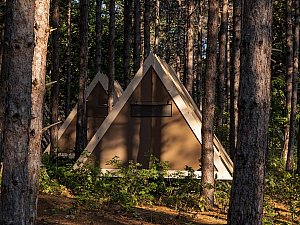 longosphere (11).jpg
