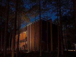 longosphere (23).jpg