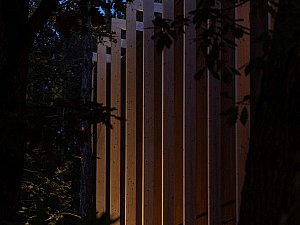 longosphere (25).jpg