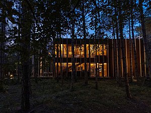 longosphere (27).jpg