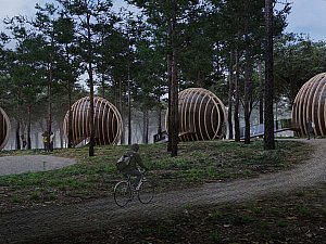 longosphere (29).jpg