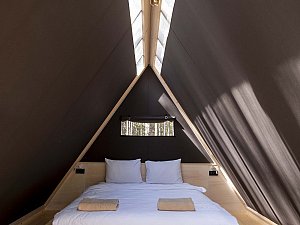 longosphere (31).jpg