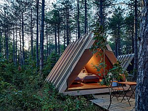longosphere (32).jpg