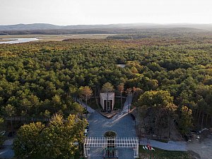 longosphere (4).jpg