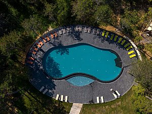 longosphere (8).jpg