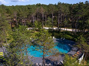 longosphere (9).jpg