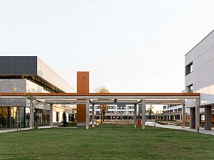 MFL_07.JPG