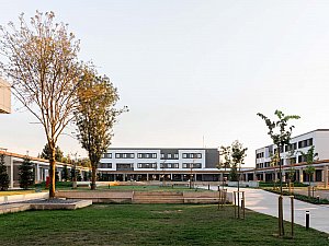 MFL_08.JPG