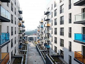 parsel_49 (10).jpg