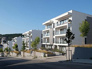 parsel_49 (3).jpg
