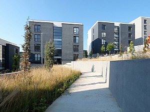 parsel_49 (8).jpg