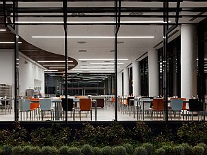 02 (5).jpg