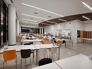 02 (6).jpg