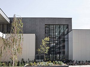 04.jpg