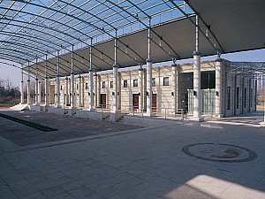 8.JPG