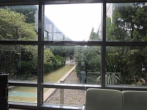 odtu_ikizler (17).JPG