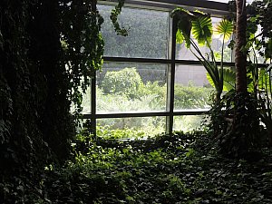 odtu_ikizler (18).JPG