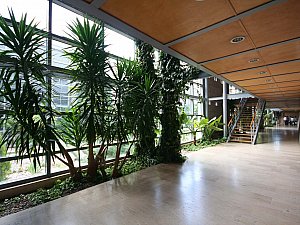 odtu_ikizler (20).JPG