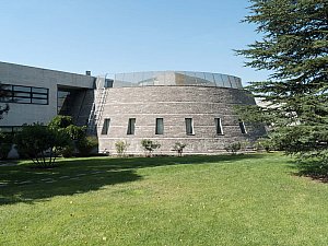 odtu_ikizler (4).jpg