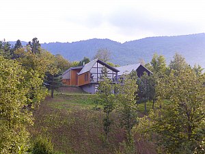 olimbera (5).jpg
