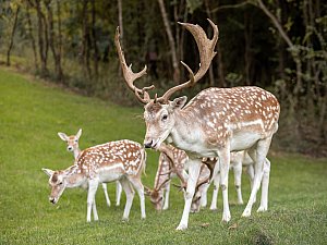 Ormankoy_Yasam_Merkezi_ (8).jpg