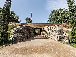 pendik_ds (11).jpg