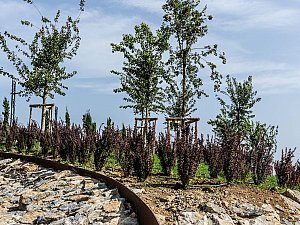 pendik_ds (2).jpg