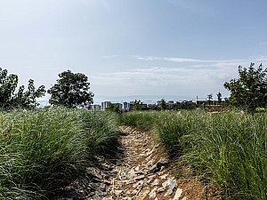 pendik_ds (3).jpg