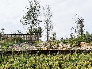 pendik_ds (4).jpg
