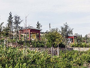 pendik_ds (5).jpg