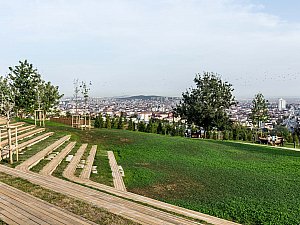 pendik_ds (6).jpg