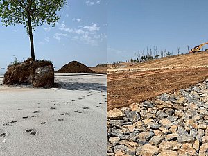 pendik_ds (9).JPG