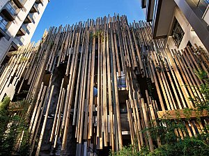 plp104.jpg