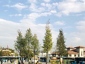 Pop Up Park İstanbul - 5.jpg