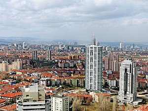 portakal (11).jpg
