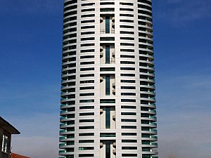 portakal (3).jpg