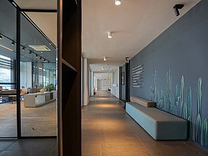 samsun_segman (17).jpg