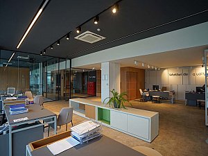 samsun_segman (18).jpg
